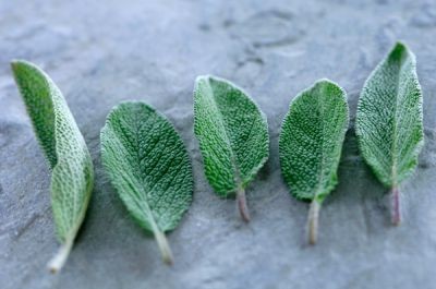 白癜风患者能否婚育