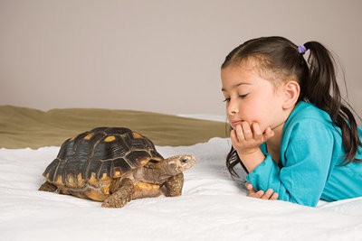 初期白癜风治疗应该注意什么