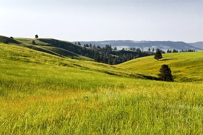 孕妇患上白癜风应该怎么治疗