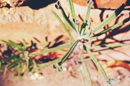 生活中有效避免疾病伤害的方法有哪些